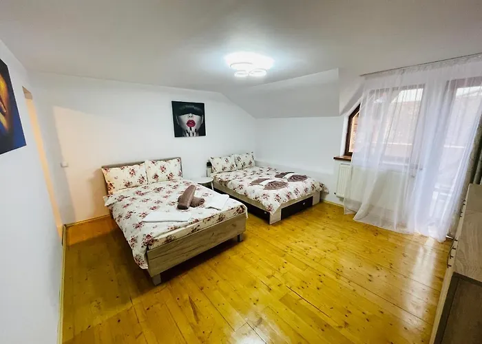 Casa Cu Balcon 아파트 브라쇼브