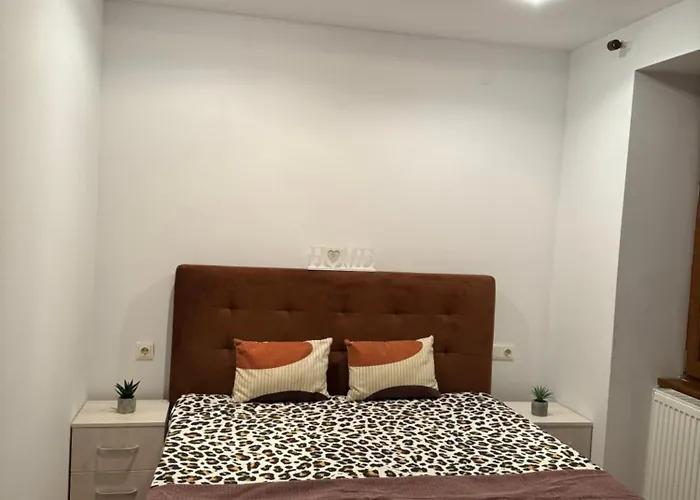 Casa Cu Balcon Apartment